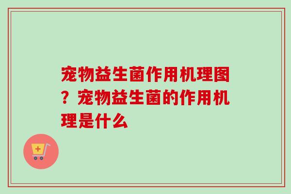 宠物益生菌作用机理图?宠物益生菌的作用机理是什么 宠物益生菌作用机理图?宠物益生菌的作用机理是什么