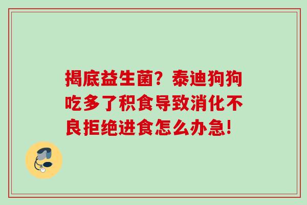 揭底益生菌？泰迪狗狗吃多了积食导致拒绝进食怎么办急!