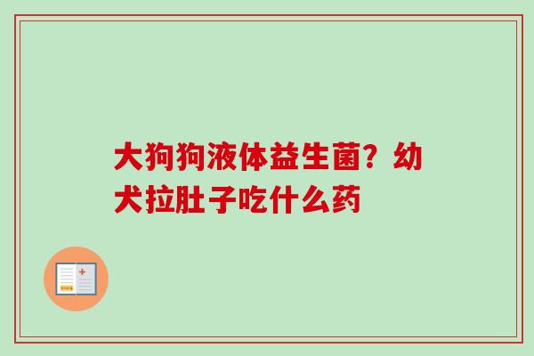 大狗狗液体益生菌？幼犬拉肚子吃什么药