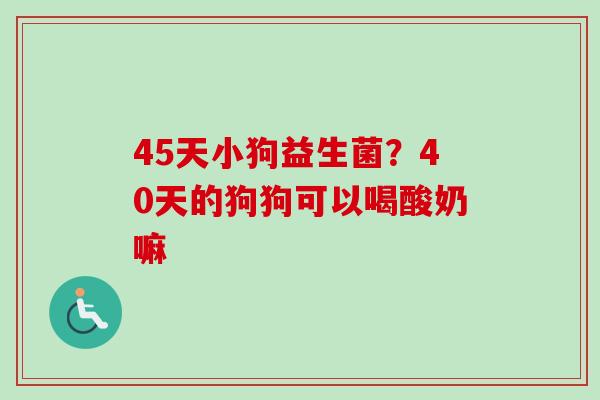 45天小狗益生菌？40天的狗狗可以喝酸奶嘛