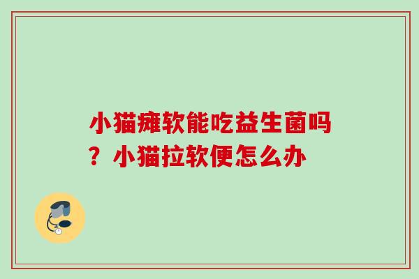小猫瘫软能吃益生菌吗？小猫拉软便怎么办