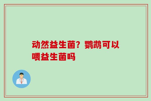 动然益生菌？鹦鹉可以喂益生菌吗