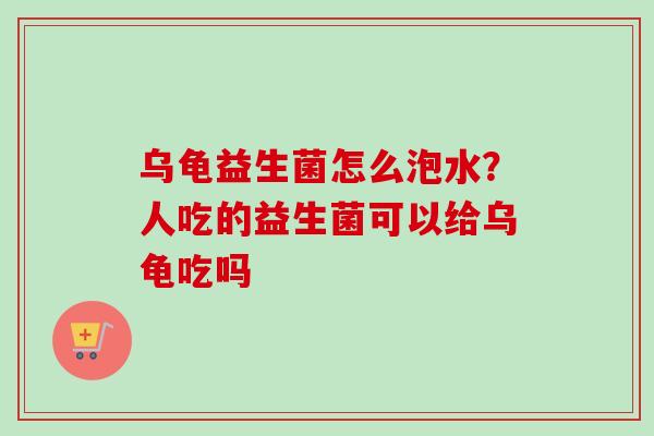 乌龟益生菌怎么泡水？人吃的益生菌可以给乌龟吃吗