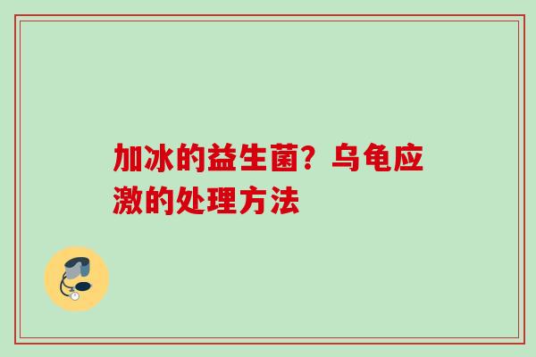 加冰的益生菌?乌龟应激的处理方法 加冰的益生菌?乌龟应激的处理方法