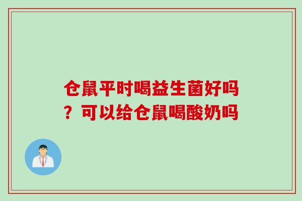 仓鼠平时喝益生菌好吗？可以给仓鼠喝酸奶吗
