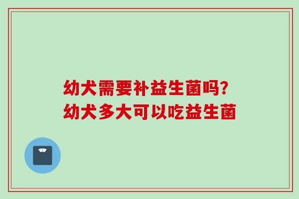 幼犬需要补益生菌吗?幼犬多大可以吃益生菌 幼犬需要补益生菌吗?幼犬多大可以吃益生菌