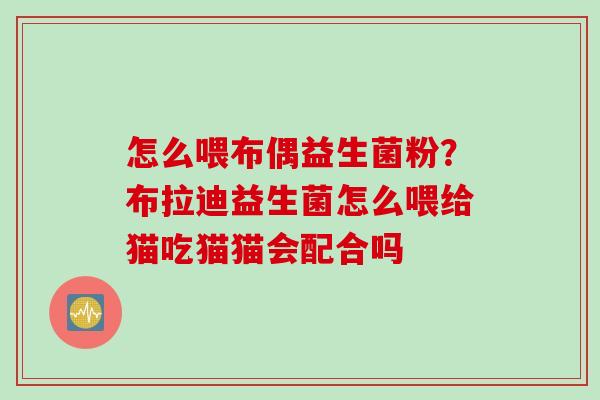怎么喂布偶益生菌粉?布拉迪益生菌怎么喂给猫吃猫猫会配合吗 怎么喂布偶益生菌粉?布拉迪益生菌怎么喂给猫吃猫猫会配合吗