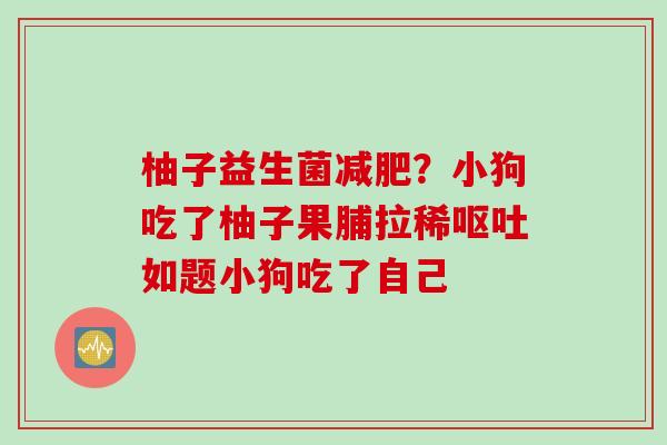 柚子益生菌？小狗吃了柚子果脯拉稀如题小狗吃了自己