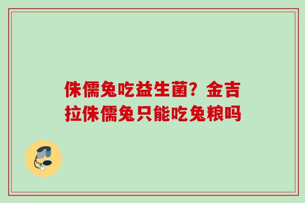 侏儒兔吃益生菌?金吉拉侏儒兔只能吃兔粮吗 侏儒兔吃益生菌?金吉拉侏儒兔只能吃兔粮吗
