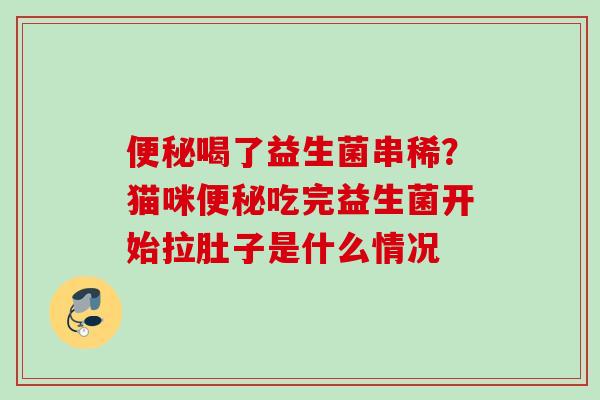 喝了益生菌串稀？猫咪吃完益生菌开始拉肚子是什么情况