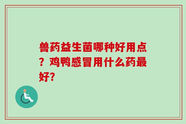 兽药益生菌哪种好用点?鸡鸭用什么药好? 兽药益生菌哪种好用点?鸡鸭用什么药好?