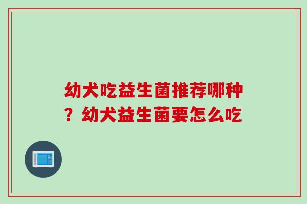幼犬吃益生菌推荐哪种?幼犬益生菌要怎么吃 幼犬吃益生菌推荐哪种?幼犬益生菌要怎么吃