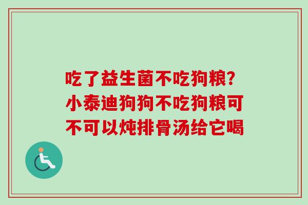 吃了益生菌不吃狗粮？小泰迪狗狗不吃狗粮可不可以炖排骨汤给它喝