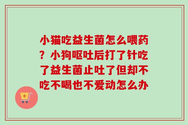 小猫吃益生菌怎么喂药?小狗后打了针吃了益生菌止吐了但却不吃不喝也不爱动怎么办 小猫吃益生菌怎么喂药?小狗后打了针吃了益生菌止吐了但却不吃不喝也不爱动怎么办