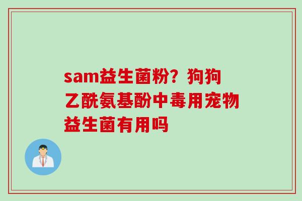 sam益生菌粉？狗狗乙酰氨基酚中毒用宠物益生菌有用吗