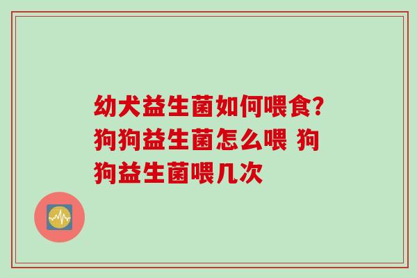 幼犬益生菌如何喂食?狗狗益生菌怎么喂 狗狗益生菌喂几次 幼犬益生菌如何喂食?狗狗益生菌怎么喂 狗狗益生菌喂几次