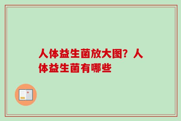 人体益生菌放大图？人体益生菌有哪些