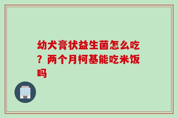 幼犬膏状益生菌怎么吃？两个月柯基能吃米饭吗