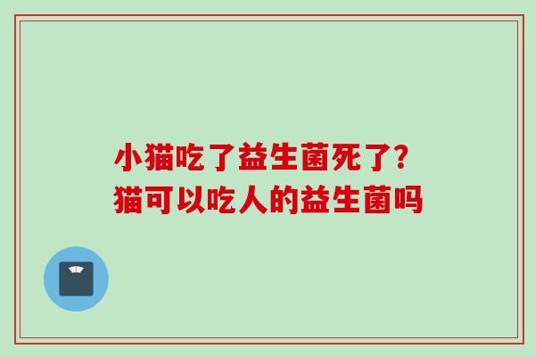 小猫吃了益生菌死了？猫可以吃人的益生菌吗