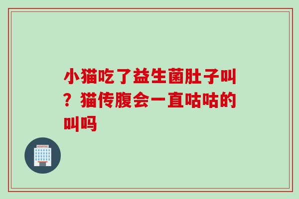 小猫吃了益生菌肚子叫？猫传腹会一直咕咕的叫吗