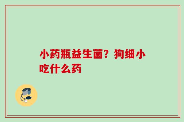 小药瓶益生菌？狗细小吃什么药