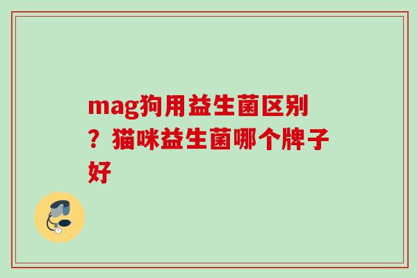 mag狗用益生菌区别？猫咪益生菌哪个牌子好