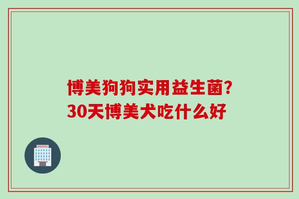 博美狗狗实用益生菌？30天博美犬吃什么好