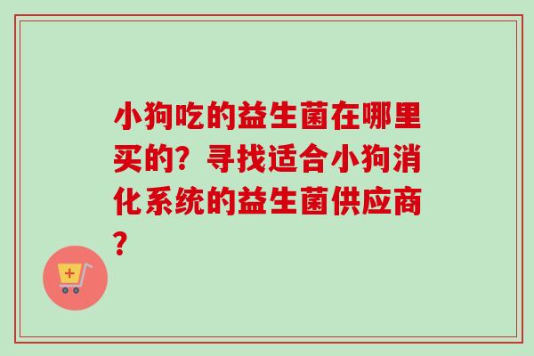 小狗吃的益生菌在哪里买的？寻找适合小狗消化系统的益生菌供应商？