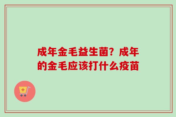 成年金毛益生菌？成年的金毛应该打什么疫苗