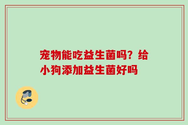 宠物能吃益生菌吗？给小狗添加益生菌好吗
