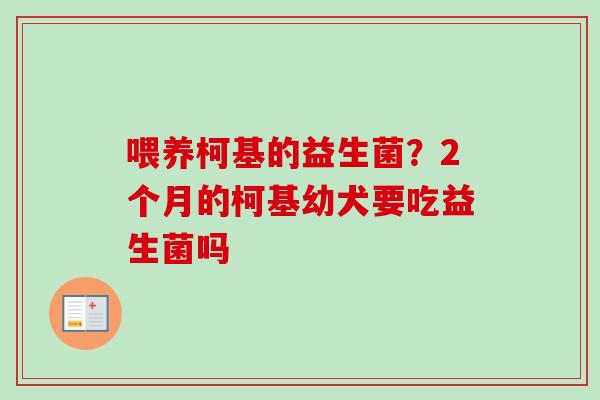 喂养柯基的益生菌？2个月的柯基幼犬要吃益生菌吗