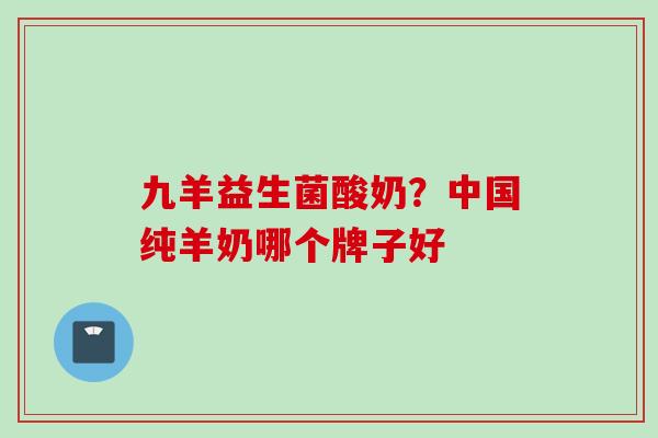 九羊益生菌酸奶？中国纯羊奶哪个牌子好