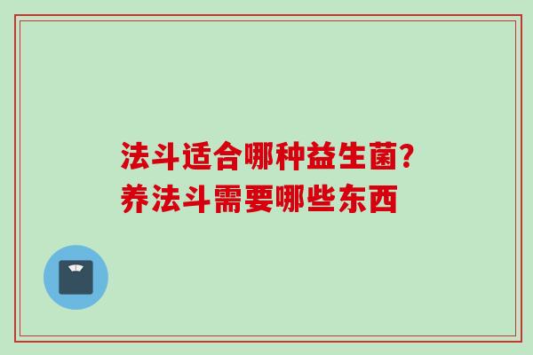 法斗适合哪种益生菌？养法斗需要哪些东西