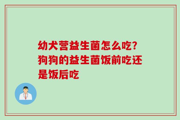 幼犬营益生菌怎么吃？狗狗的益生菌饭前吃还是饭后吃