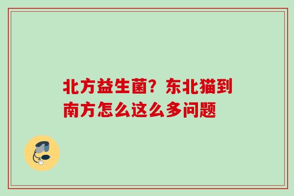 北方益生菌？东北猫到南方怎么这么多问题