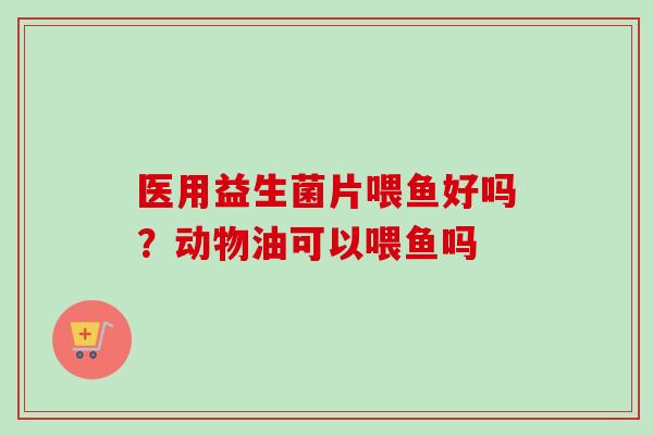 医用益生菌片喂鱼好吗？动物油可以喂鱼吗