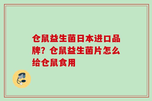 仓鼠益生菌日本进口品牌？仓鼠益生菌片怎么给仓鼠食用