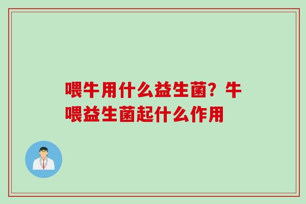 喂牛用什么益生菌？牛喂益生菌起什么作用