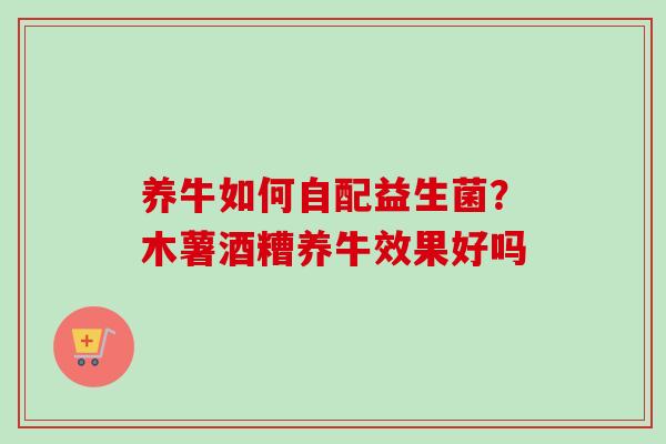 养牛如何自配益生菌?木薯酒糟养牛效果好吗 养牛如何自配益生菌?木薯酒糟养牛效果好吗