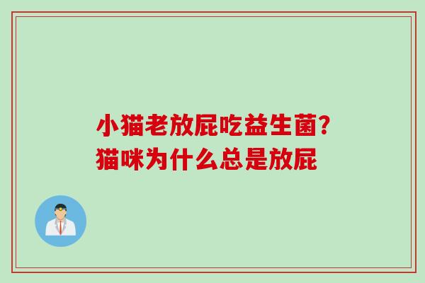 小猫老放屁吃益生菌?猫咪为什么总是放屁 小猫老放屁吃益生菌?猫咪为什么总是放屁