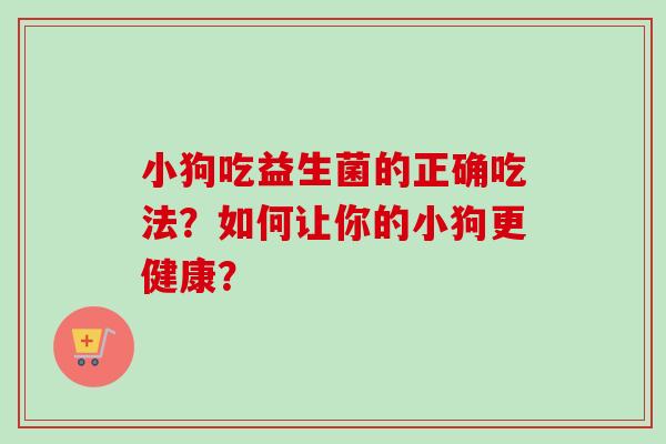 小狗吃益生菌的正确吃法?如何让你的小狗更健康? 小狗吃益生菌的正确吃法?如何让你的小狗更健康?