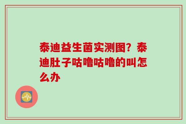 泰迪益生菌实测图？泰迪肚子咕噜咕噜的叫怎么办