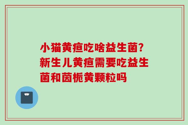 小猫黄疸吃啥益生菌？新生儿黄疸需要吃益生菌和茵栀黄颗粒吗