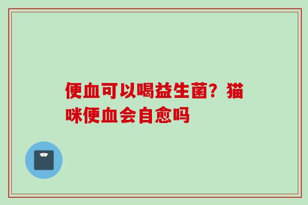 便可以喝益生菌？猫咪便会自愈吗
