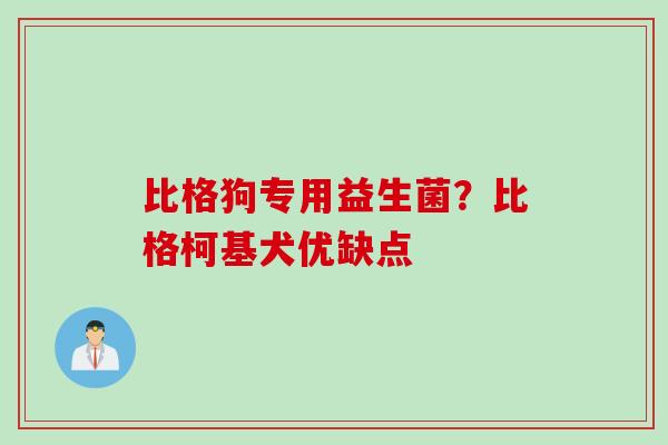 比格狗专用益生菌?比格柯基犬优缺点 比格狗专用益生菌?比格柯基犬优缺点