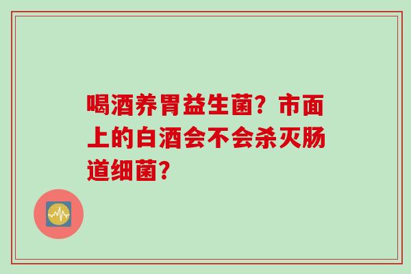 喝酒养胃益生菌？市面上的白酒会不会杀灭肠道？
