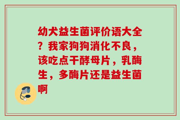 幼犬益生菌评价语大全？我家狗狗，该吃点干酵母片，乳酶生，多酶片还是益生菌啊