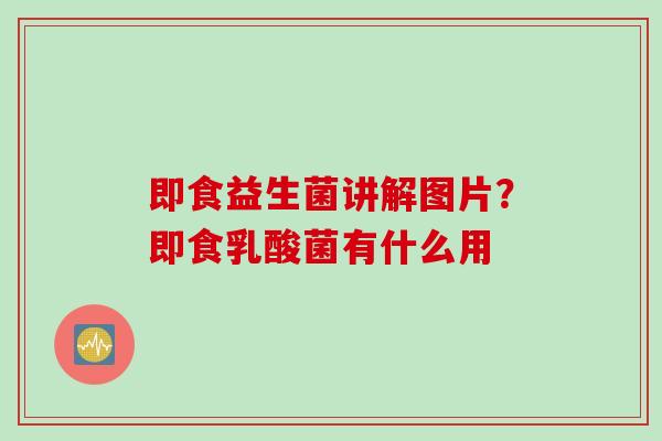 即食益生菌讲解图片？即食乳酸菌有什么用