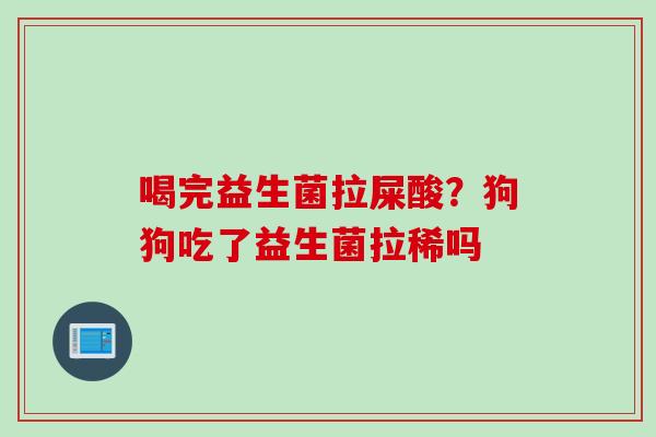 喝完益生菌拉屎酸?狗狗吃了益生菌拉稀吗 喝完益生菌拉屎酸?狗狗吃了益生菌拉稀吗