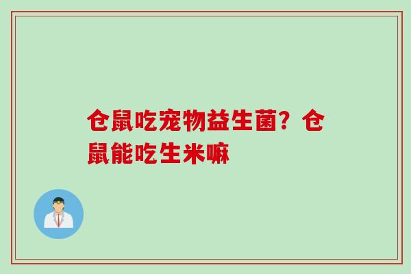 仓鼠吃宠物益生菌?仓鼠能吃生米嘛 仓鼠吃宠物益生菌?仓鼠能吃生米嘛
